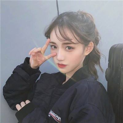 口袋决斗魅族版下载